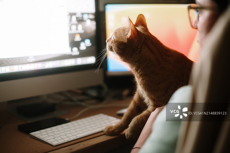 猫和在电脑前的女人图片素材