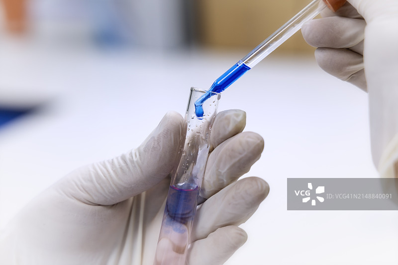 科学家在试管中滴加化学试剂图片素材