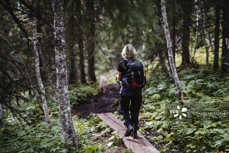 男子背着背包在森林中植物中行走的背影图片素材