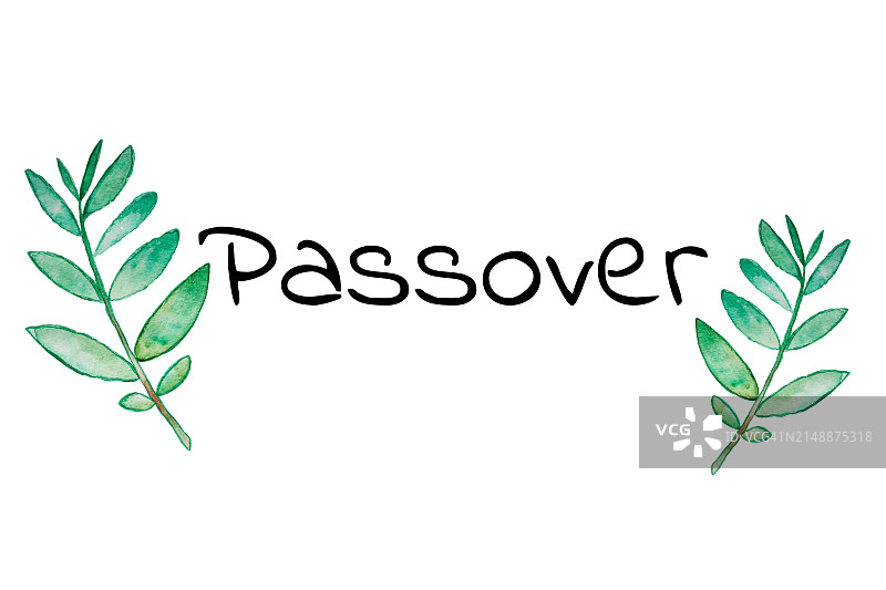 两只手绘橄榄枝与逾越节字样。庆祝逾越节的概念图片素材