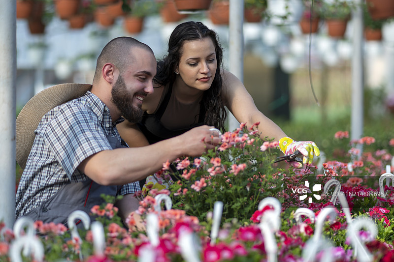 温室手工工人拿着装满鲜花的箱子图片素材
