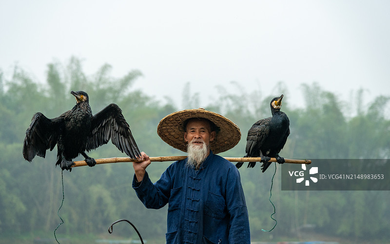 漓江上的中国传统渔民和鸬鹚捕鱼肖像图片素材
