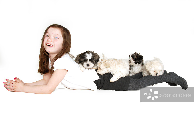 女学生和纯种小狗图片素材