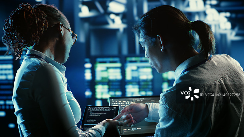 为数据中心编程和编码的精致软件工程师图片素材