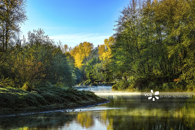 美国华盛顿州博塞尔：森林映衬下的湖泊美景图片素材