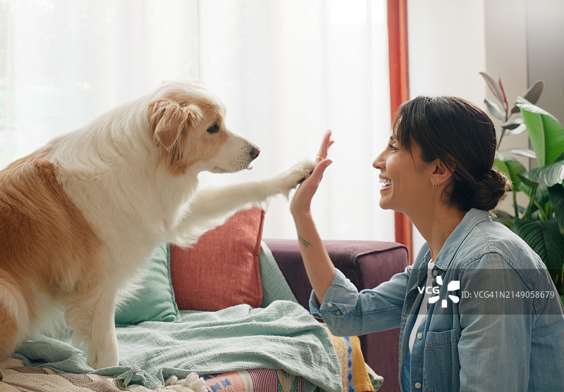 女人和宠物狗在家中互动图片素材