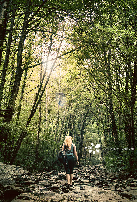 金发女人走在森林里图片素材