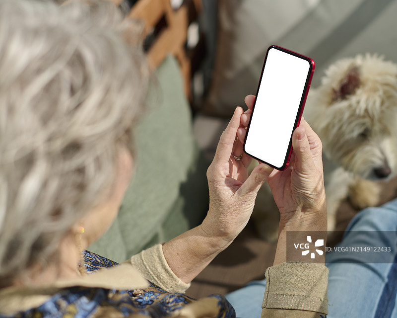 看着移动设备屏幕图片素材