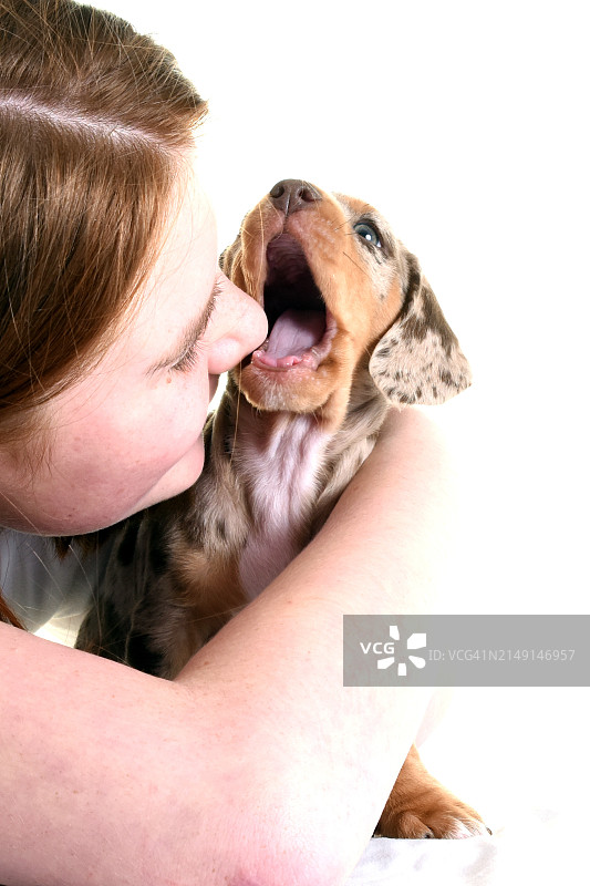 抱着新小狗的青少年图片素材