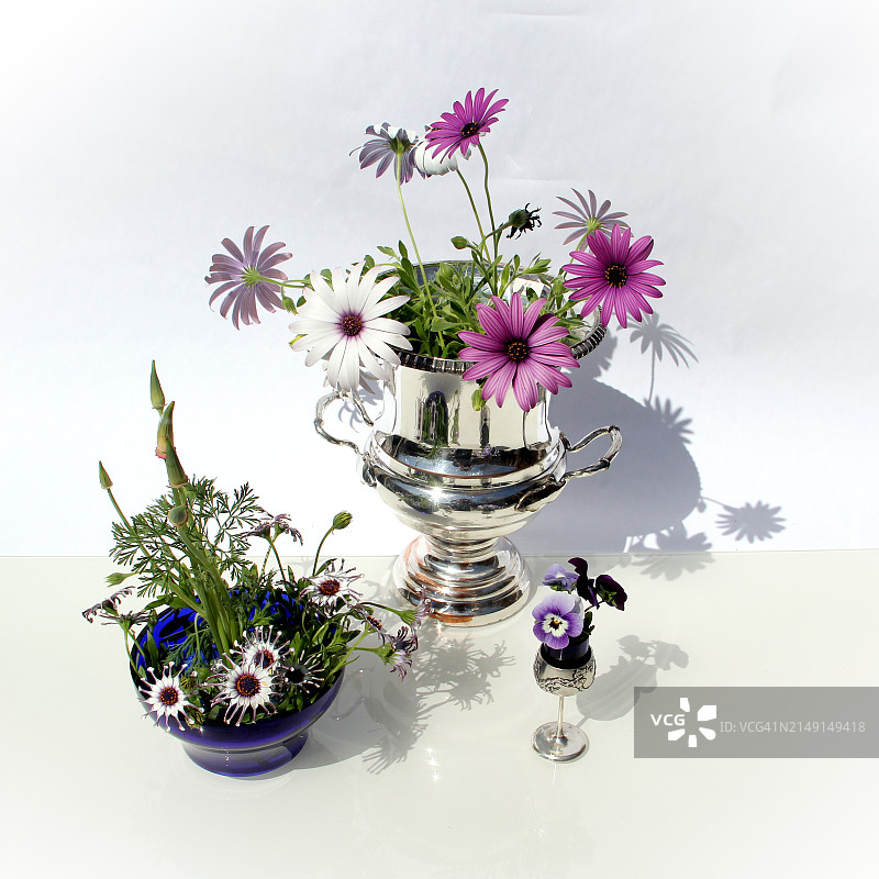 花瓶鲜花特写，美国图片素材