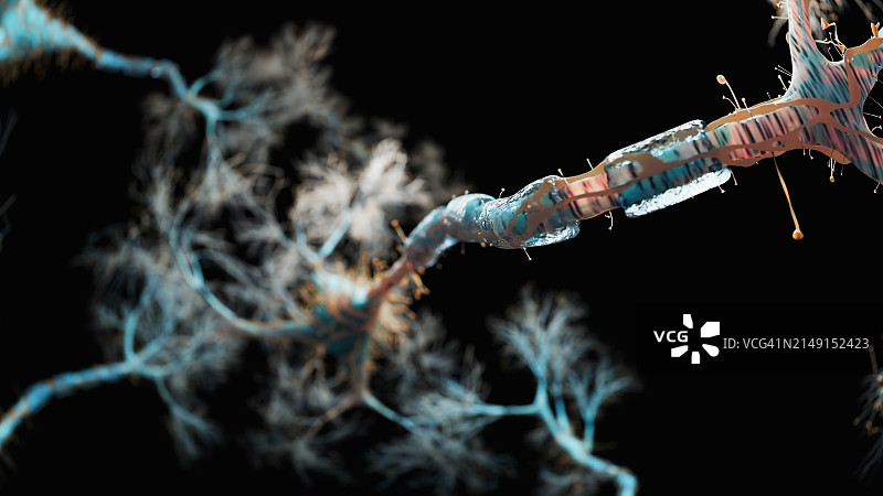 神经元放电图片素材