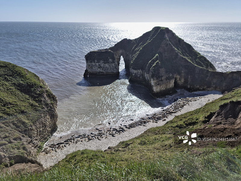 英国约克郡海岸弗兰伯勒岬的海豹栖息地图片素材