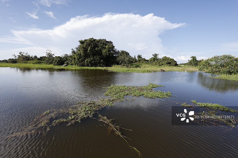 巴西亚马逊地区，伊加拉佩-阿苏湖平静水面上的云彩倒影图片素材
