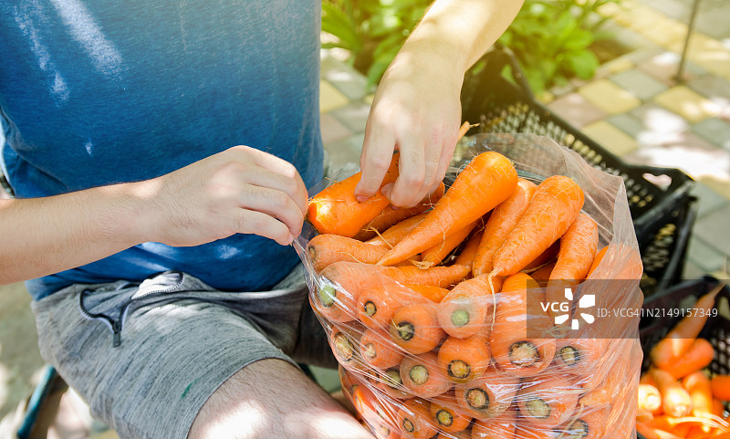 拿着胡萝卜的女人（腰部特写）图片素材