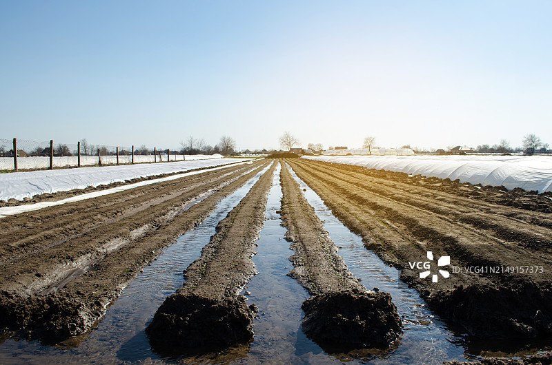 晴空映衬下的农田美景图片素材