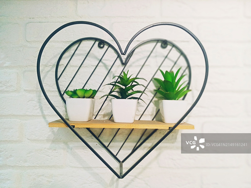 墙上悬挂的盆栽特写图片素材