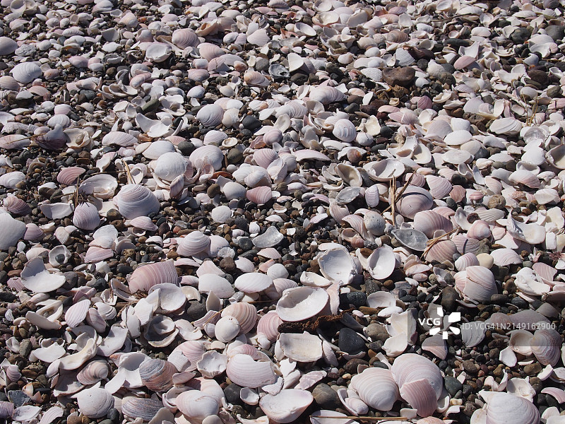 海滩鹅卵石全画幅照片图片素材