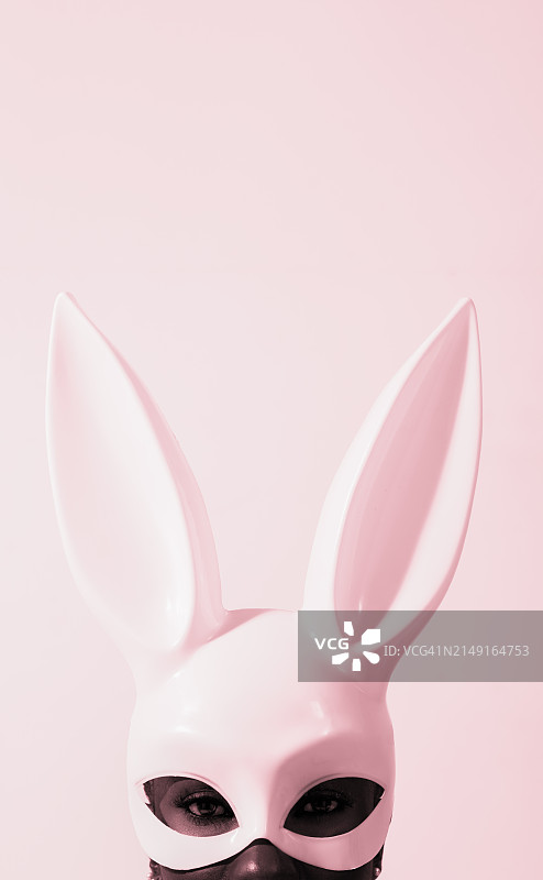 粉色背景下的兔子特写图片素材