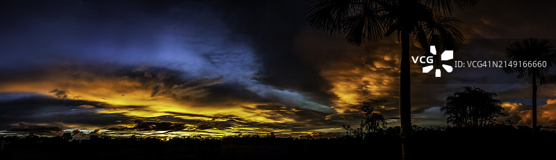 巴西新普罗格雷索日落时分壮丽天空下的树木轮廓图片素材