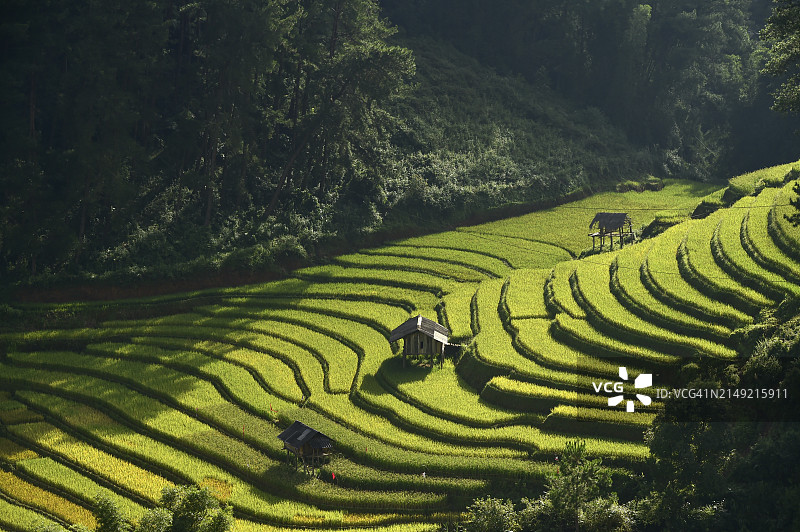 越南安沛木江界梯田航拍图片素材