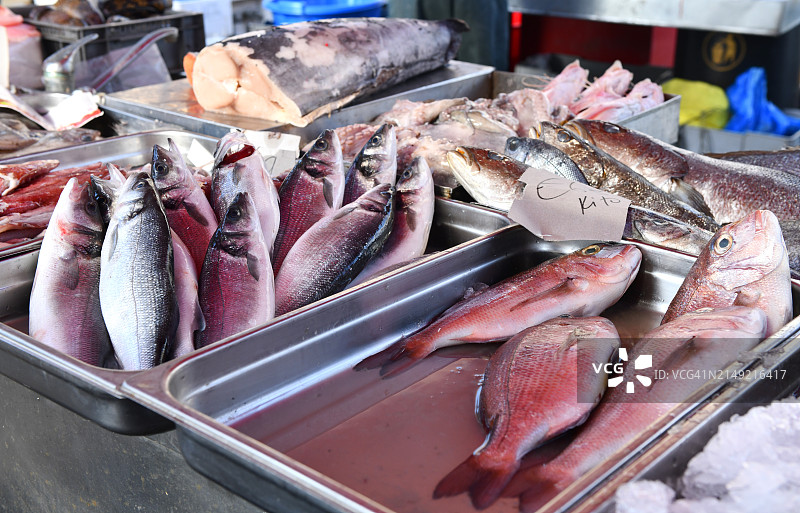马耳他Marsaxlokk鱼市场出售的新鲜鱼类特写图片素材