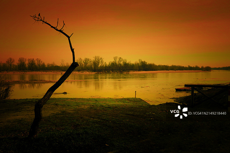 意大利皮埃蒙特巴西尼亚纳波河边的树木剪影图片素材