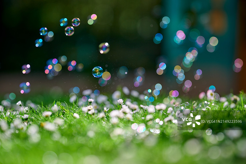 草地上的气泡图片素材