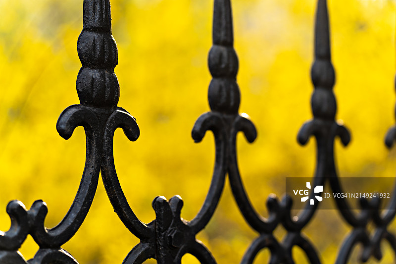 公园里的春天图片素材