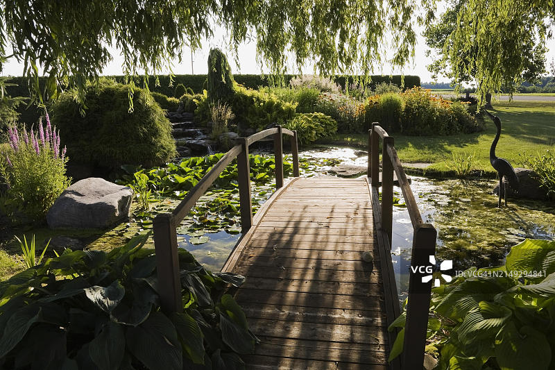 加拿大魁北克，夕阳下池塘边柳树和木桥的剪影图片素材