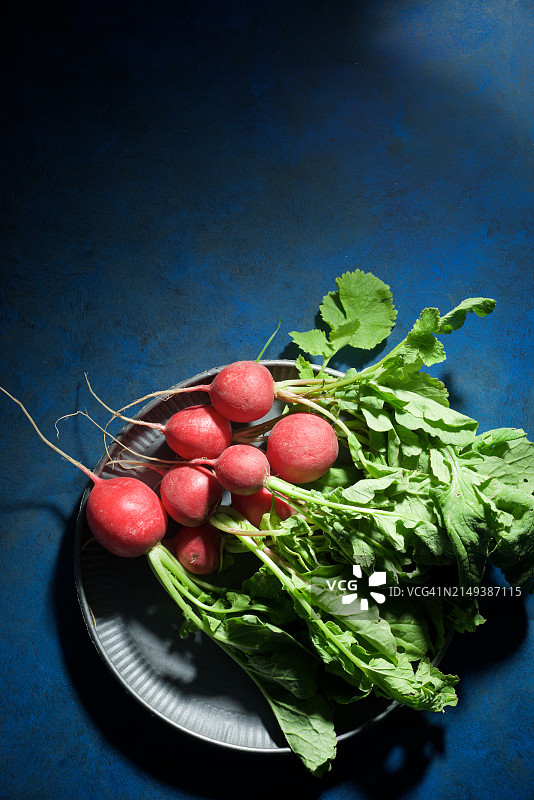 从花园新鲜采摘的红萝卜图片素材