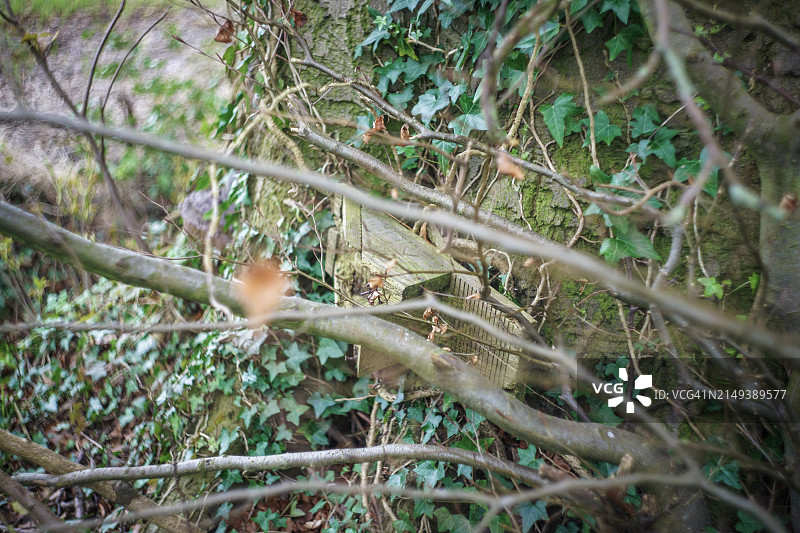 春日里的自然风光图片素材