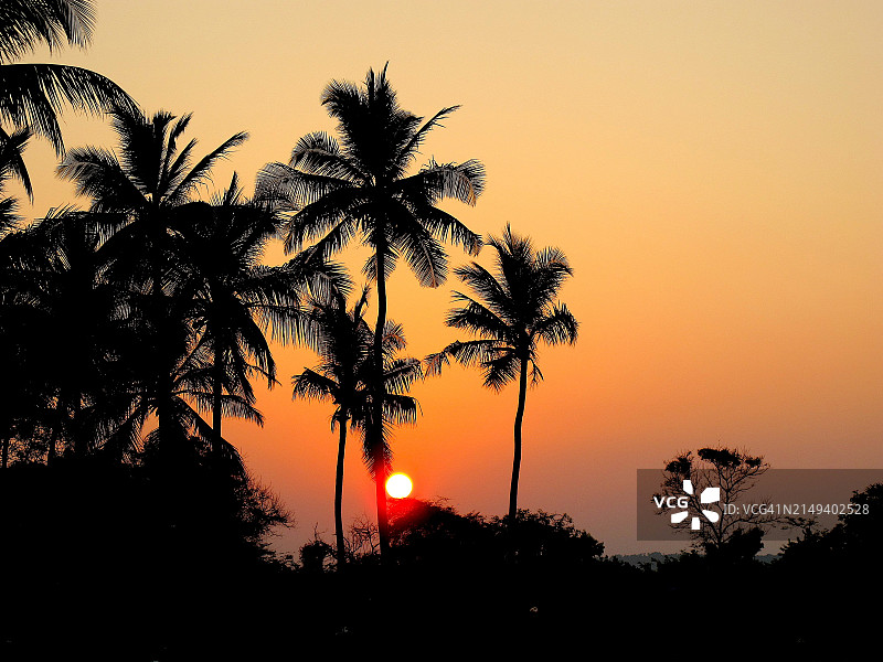 棕榈树与日落剪影图片素材