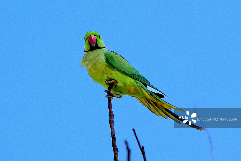 кольцо-точка图片素材