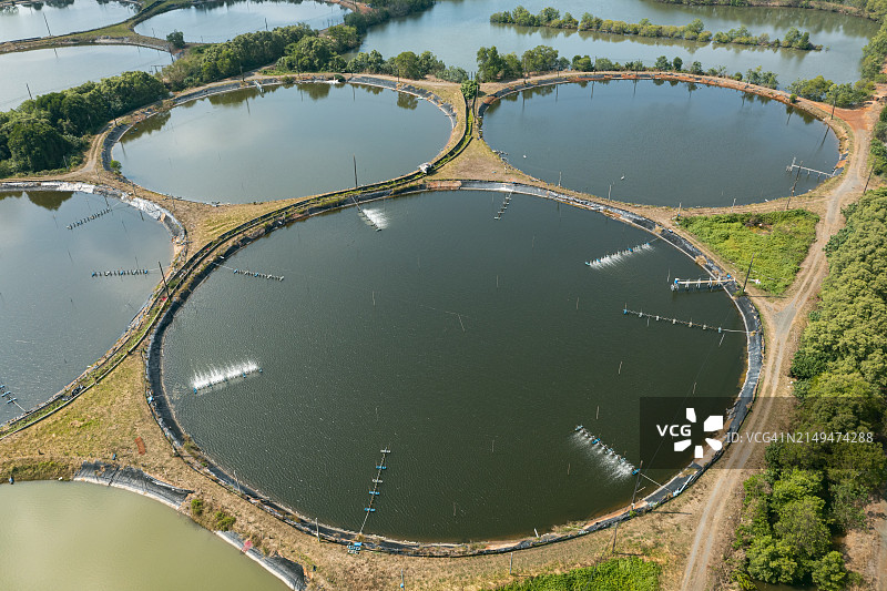 红树林咸水养鱼池航拍图片素材