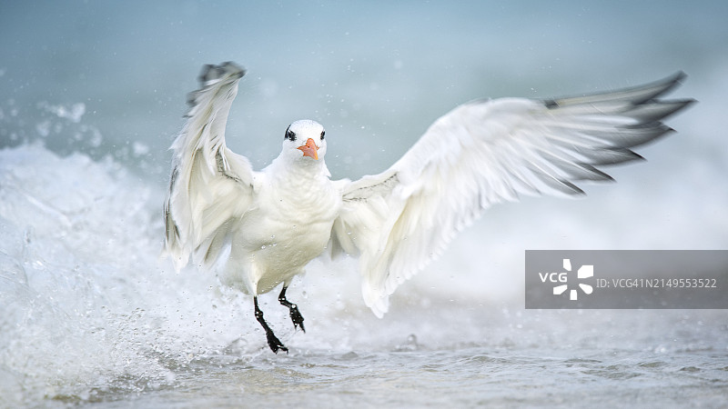 动感单车锻炼图片素材
