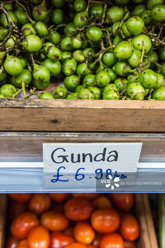 市场出售的Gunda图片素材