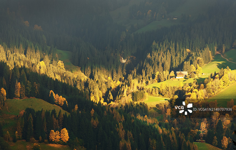 奥地利萨尔茨堡地区弗拉绍：秋暮时分的森林山谷图片素材
