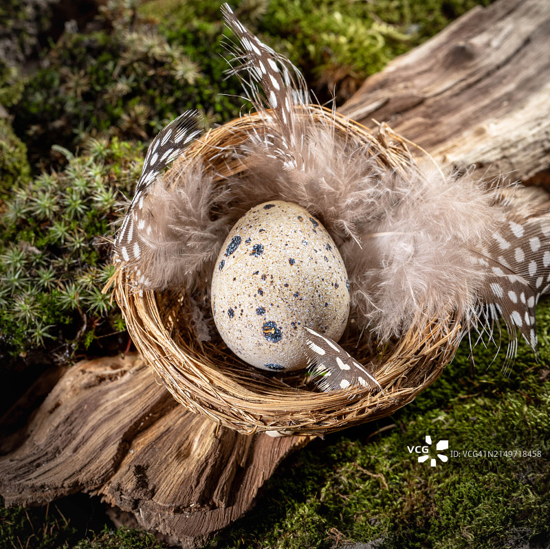 俄罗斯鸟巢中的复活节彩蛋高角度视图图片素材