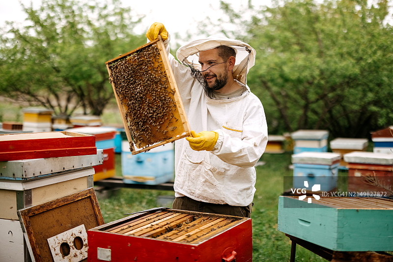 带着蜂框的养蜂人图片素材