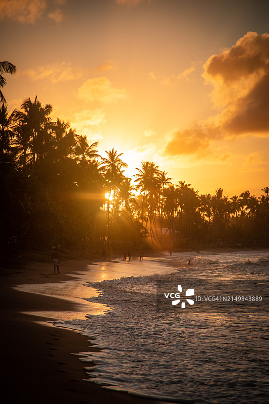 美丽海滩的日落图片素材