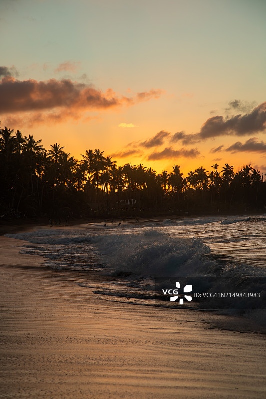 美丽海滩的日落图片素材