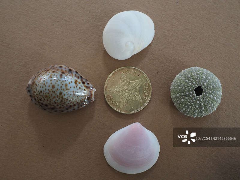 多样性选择图片素材