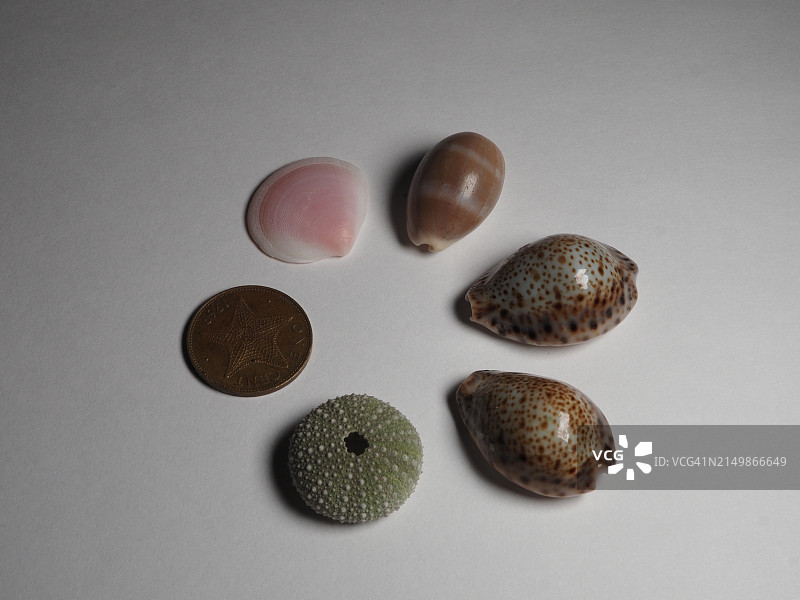 多样性选择图片素材