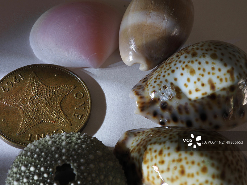 多样性选择图片素材