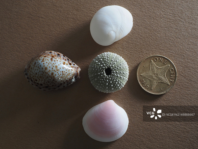 多样性选择图片素材