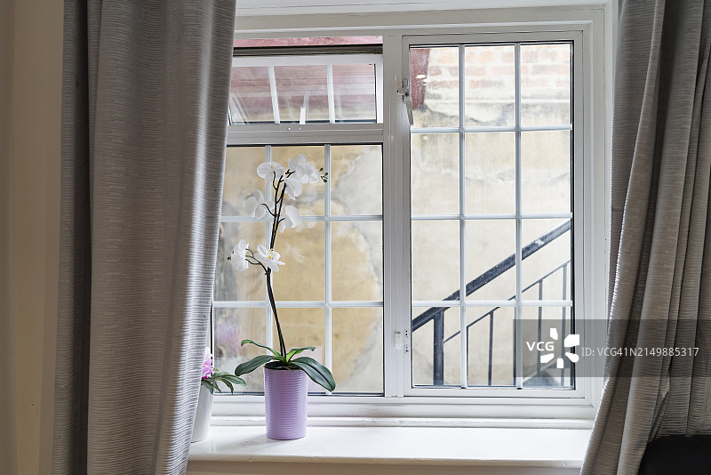 窗边白色鲜花花瓶图片素材