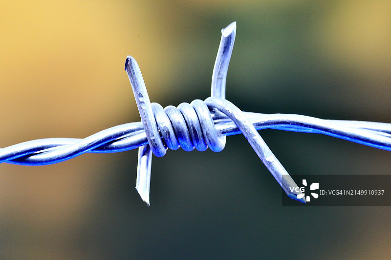 带刺铁丝网上的尖刺特写图片素材