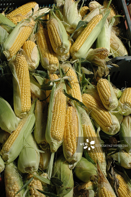 待售的甜玉米图片素材