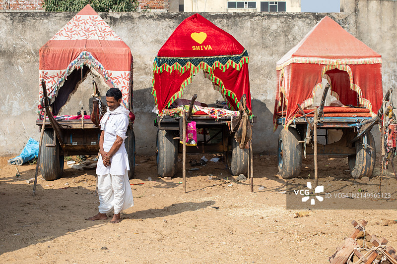 普什卡骆驼运输图片素材