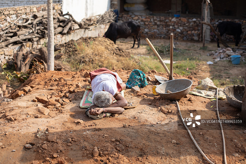 普什卡牲畜集市图片素材